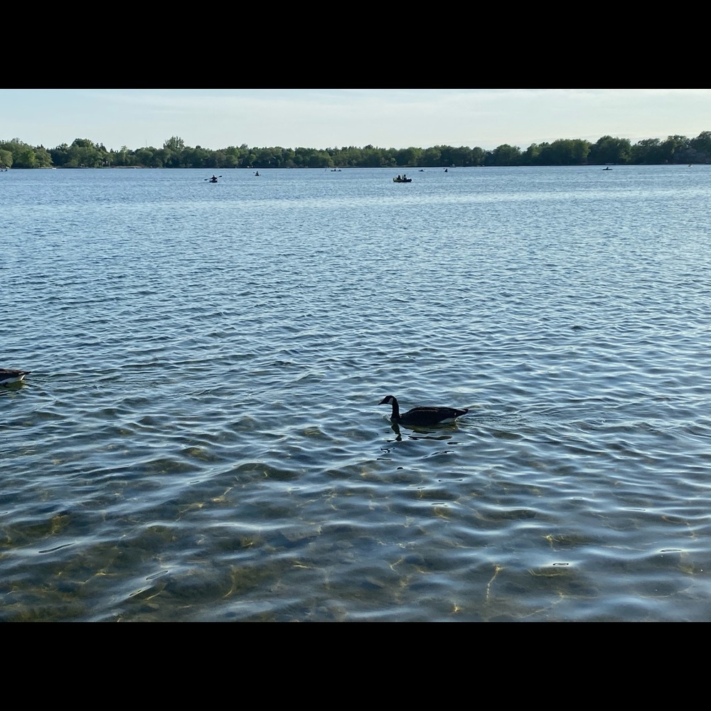 Meet your Posher, Jessie